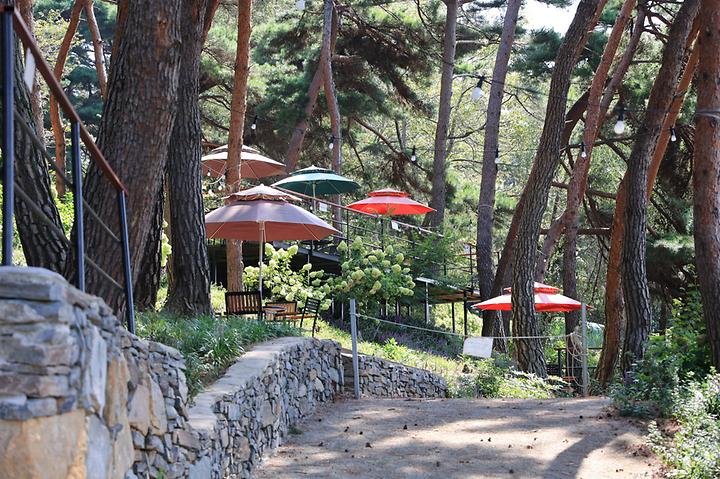 [경상남도 진주시] 청춘별곡 – 노을이 아름다운 저수지뷰 솔 숲 캠핑