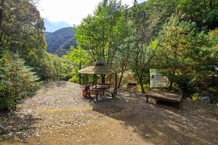 [충청북도 진천군] 생거진천 자연휴양림 – 더없이 자연 친화적인 캠핑장