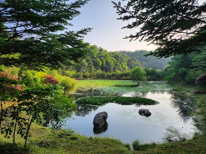 [강원도 횡성군] 도모 횡성