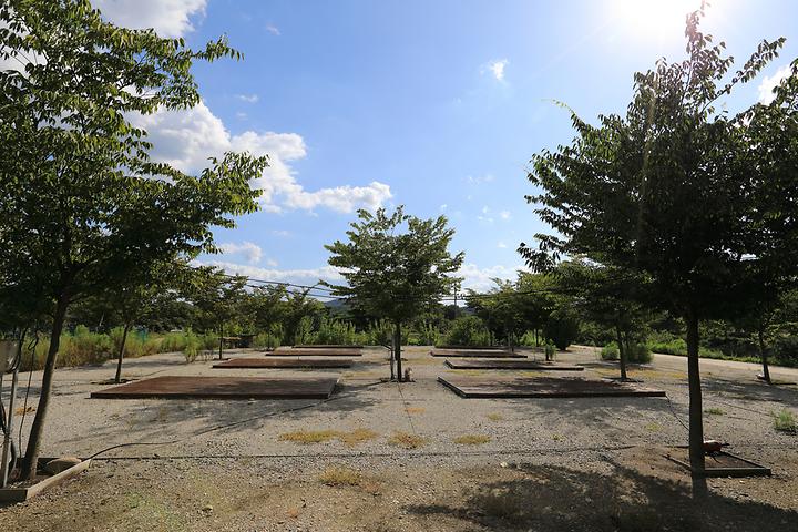 [충청북도 보은군] 휴힐링 – 속리산에 위치한 여유로운 힐링 캠핑장