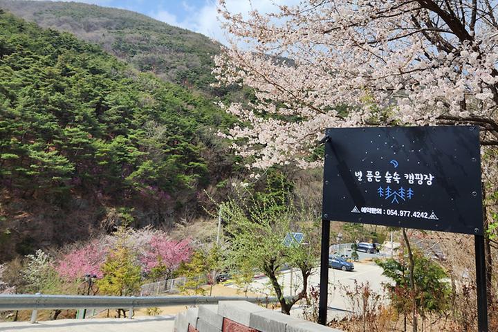 [경상북도 칠곡군] 별품은 숲속 캠핑장