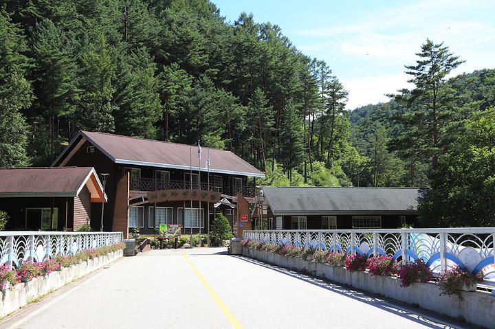 [강원도 인제군] 하추자연휴양림 야영장