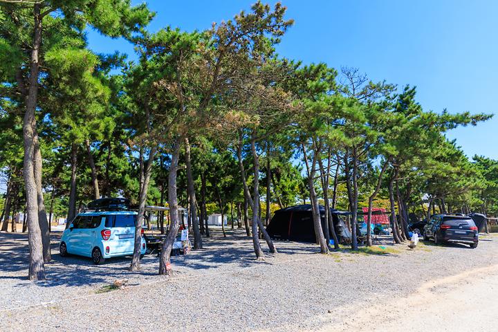[충청남도 태안군] 어은돌오토캠핑장