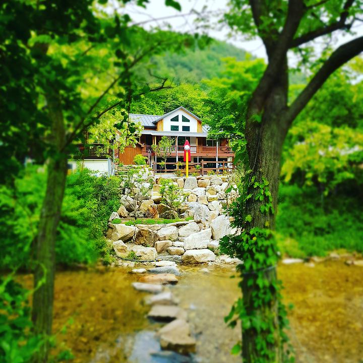 [강원도 양양군] 양양 포레스트캠핑장 – 양양 하조대 안쪽  대치계곡에 위치한 호젓한 캠핑장