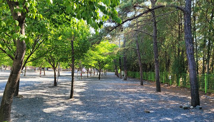 [경상남도 밀양시] 밀양스쿨오토캠핑장 – 옛 추억을 떠올리며 캠핑의 재미를 알아가는 곳.