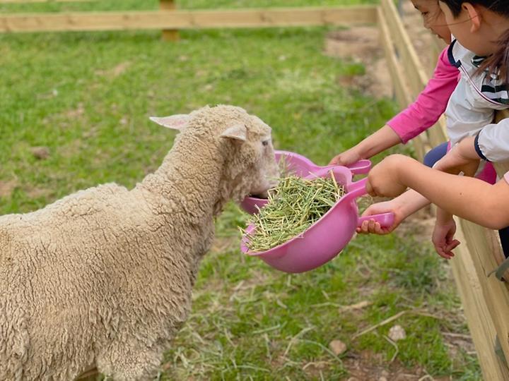 [충청남도 공주시] jj오토캠핑장