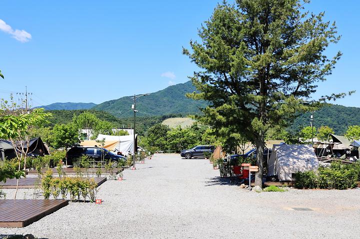 [경기도 가평군] 일칠일관광농원 – 청평읍내에서 가까운 캠핑장으로 예쁜 정원과 카페 운영