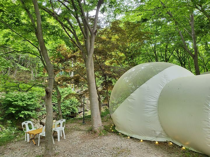 [전라북도 임실군] 저스트글램핑 – 숲속 계곡에 위치한 이색적인 글램핑