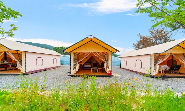 [경기도 포천시] (주)더그린포천 농업회사법인(민트글램핑)