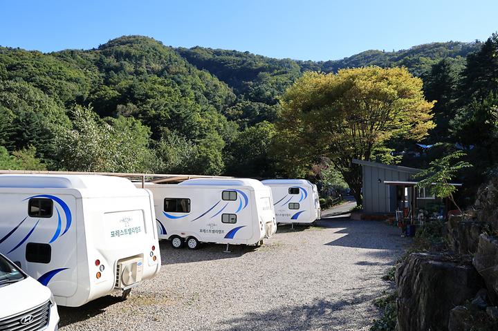 [경기도 남양주시] 포레스트벨리캠프 – 수동 철마산 자락! 계곡과 잣나무 숲이 어우러진 캠핑장