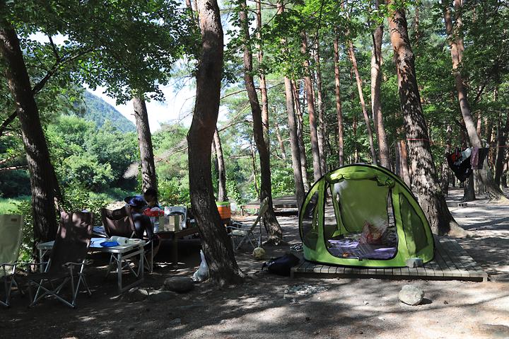 [강원도 양양군] 얼음골야영장