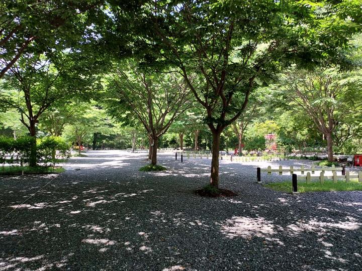 [강원도 횡성군] 횡성산울림오토캠핑장 – 신대계곡에 위치한 가족 ,커플 깨끗하고 조용한 캠핑장