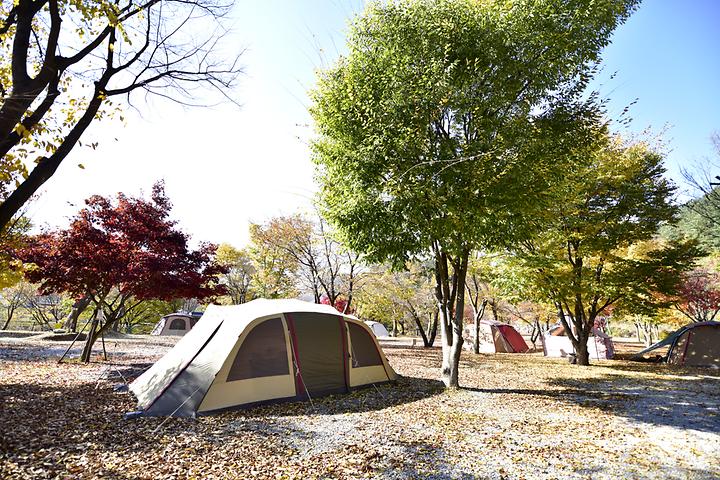 [경기도 가평군] 별빛오토캠핑장 – 계곡 좋고 나무그늘 좋은 캠핑장