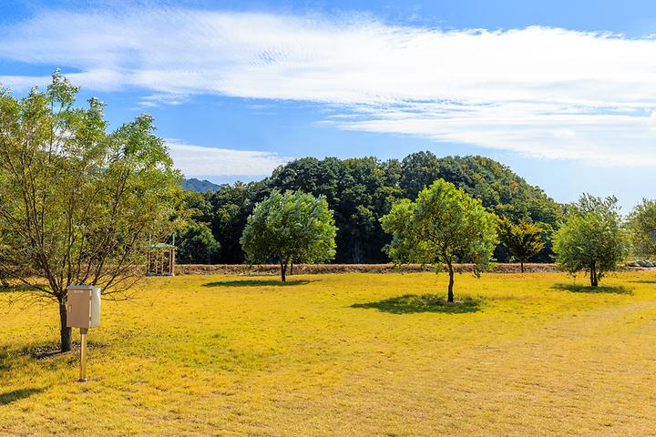 [경상북도 성주군] 솔가람 캠핑장 – 차박하기 좋은 한강대 인근 노지 캠핑장