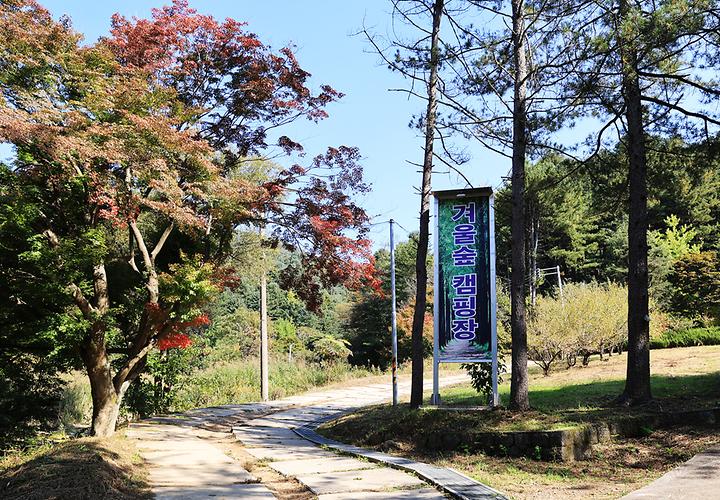 [경기도 가평군] (주)구들택 겨울숲 지점