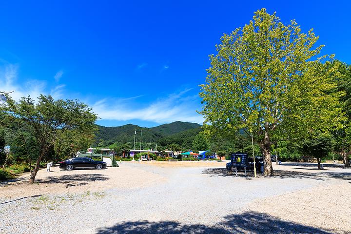 [충청북도 음성군] 솔부엉이 캠핑장 – 폐교가 감성적인 캠핑장으로 탈바꿈한 곳