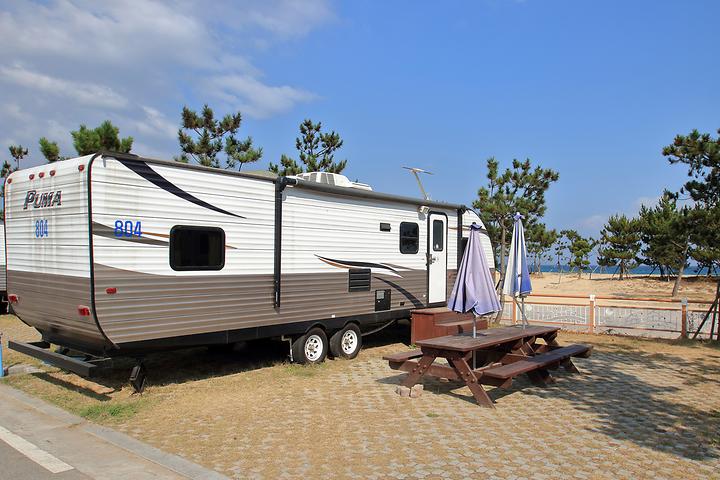[강원도 동해시] 망상오토캠핑리조트 제2오토캠핑장 – 해변과 솔숲이 어우러진 캠핑장