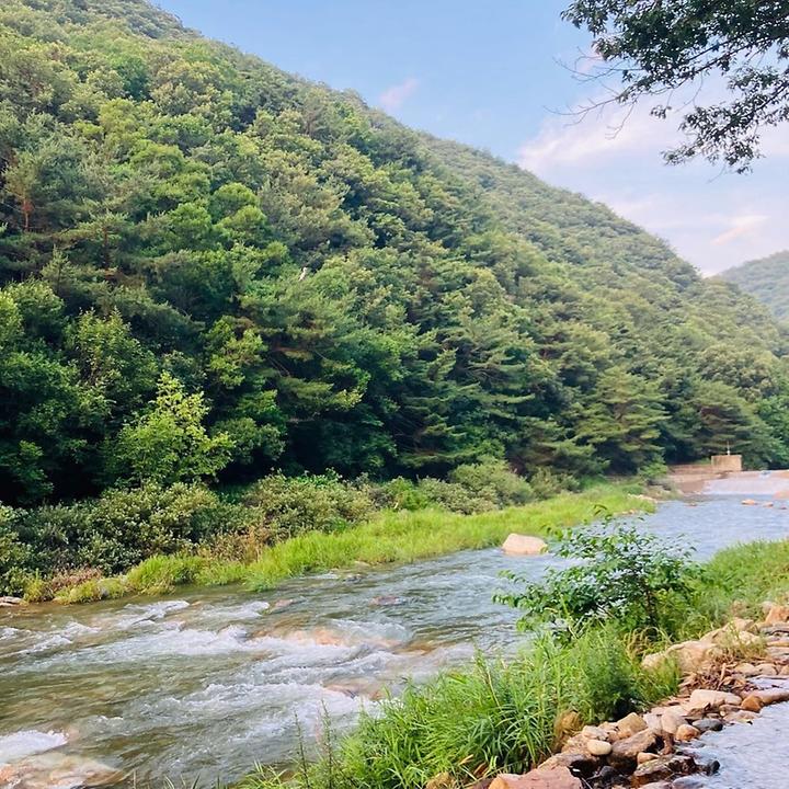 [경기도 양평군] 노문 야영장 – 계곡에서 놀기 좋은 곡달계곡 야영장
