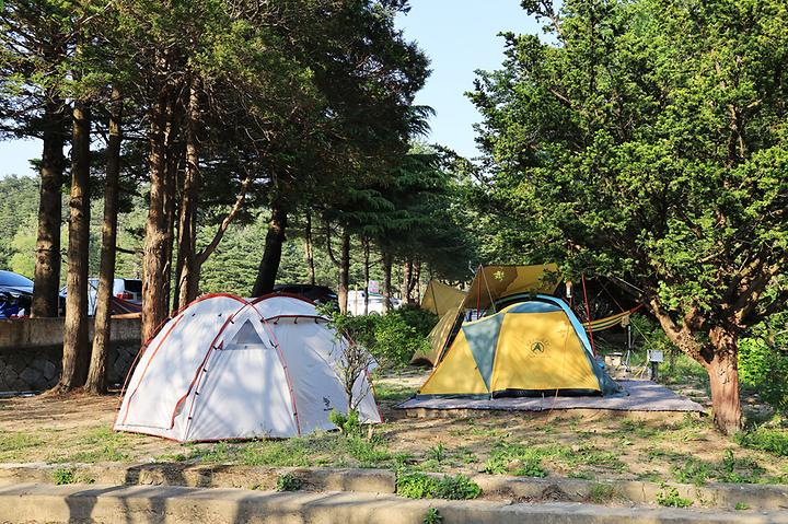 [강원도 강릉시] 보광농촌체험휴양마을 – 폐교를 개조한 대관령 중턱의 마을관리 캠핑장