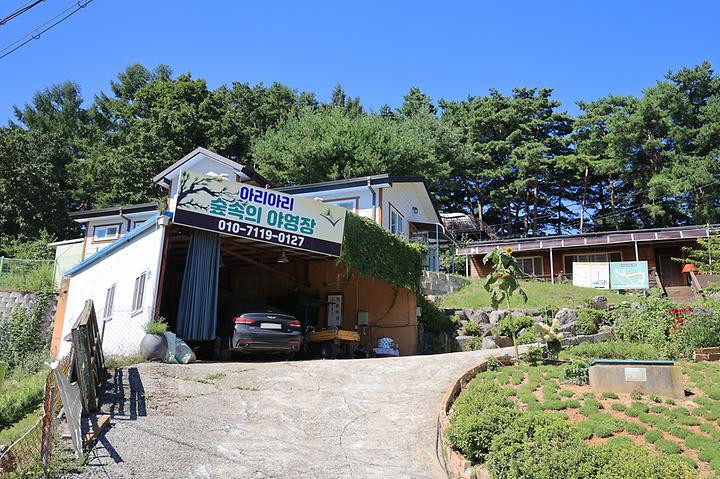 [강원도 영월군] 아리아리 숲속의 야영장 – 황둔과 주천사이 솔치터널 위에 있는 산속 전망좋은 캠핑장