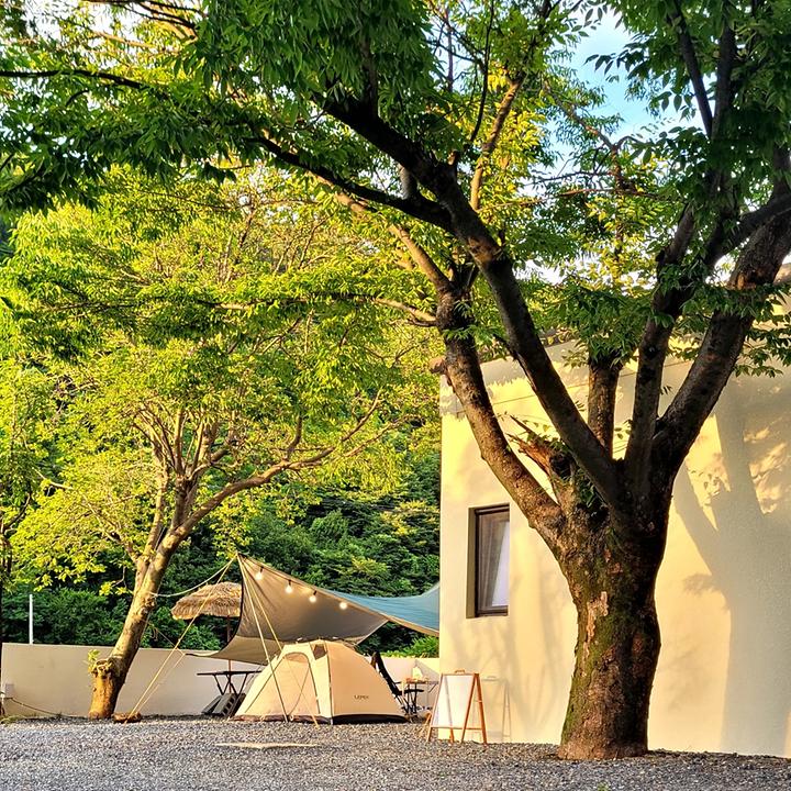 [충청북도 단양군] 폭포가든캠핑장 – 소백산 아래 계곡이 흐르는 감성캠핑장