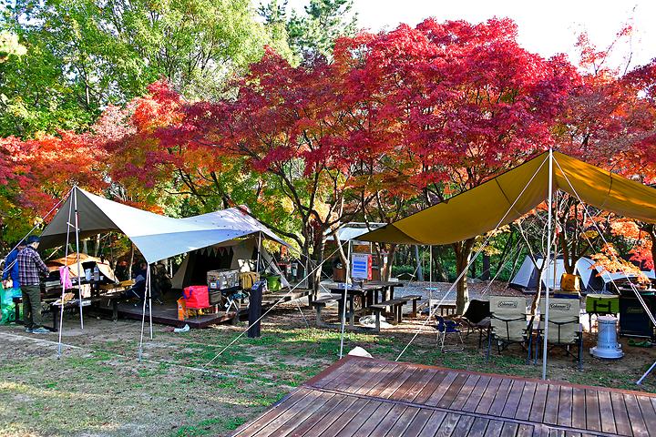 [전라남도 영암군] 월출산국립공원 천황야영장 – 천황사 천황 야영장에서 월출산의 자연을 느껴보자.