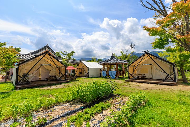 [경상남도 거창군] 수승대체험휴양마을 – 여러 가지 체험거리가 마련된 글램핑장