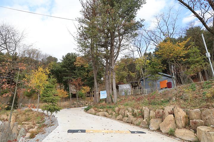 [경기도 포천시] 금동휴양림캠프3