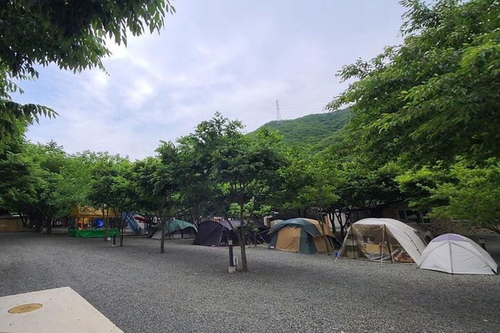[경상북도 경주시] 알프스캠핑