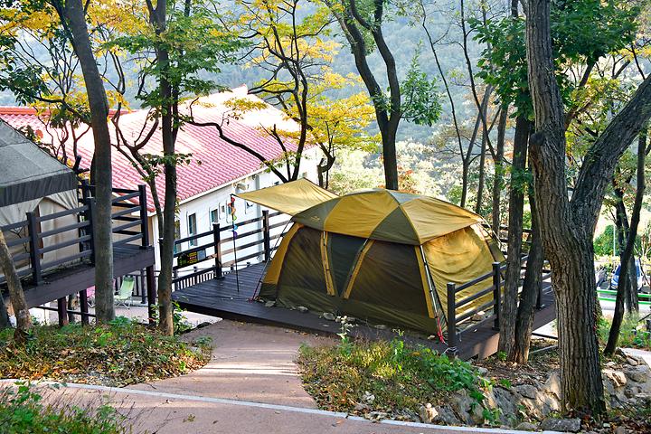 [경상남도 김해시] 신어산자연숲캠핑장 – 자연 속에서 누리고, 즐길 거리가 많은 신어산 자연숲캠핑장.
