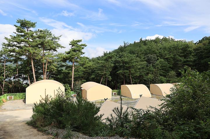 [경상남도 합천군] 현대야영장