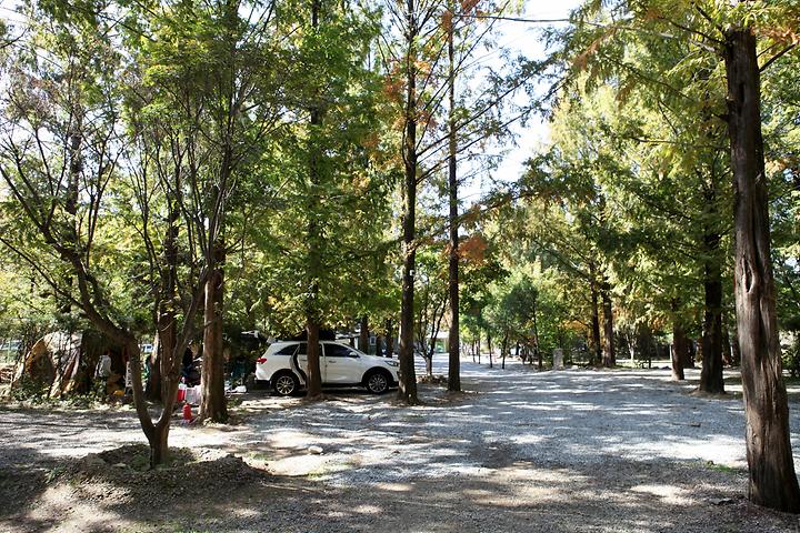 [경기도 파주시] 반디캠프 – 메타세콰이어 그늘이 좋은 힐링 캠핑장