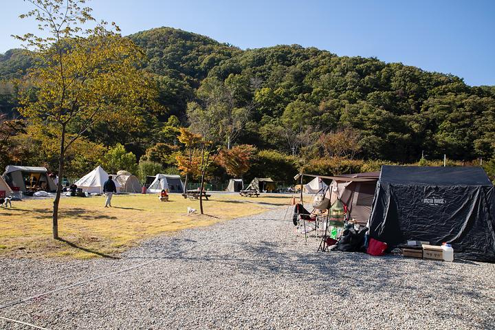 [경기도 양주시] 은하수 캠핑장
