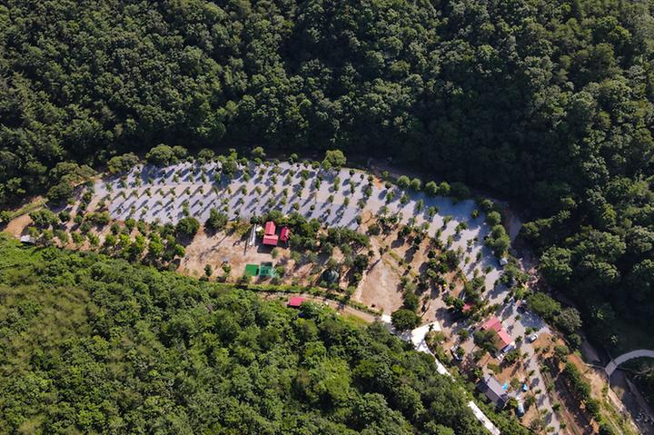 [경상북도 문경시] 리우 캠핑장