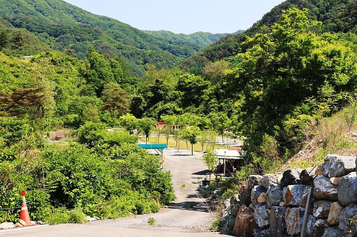 [강원도 홍천군] 캠프 어라운드 – 생곡저수지 안쪽 청정계곡옆 반려견동반, 가족친화 야영장