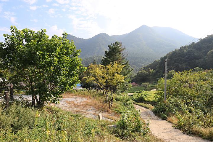 [경기도 양평군] 산대분교공공캠핑장