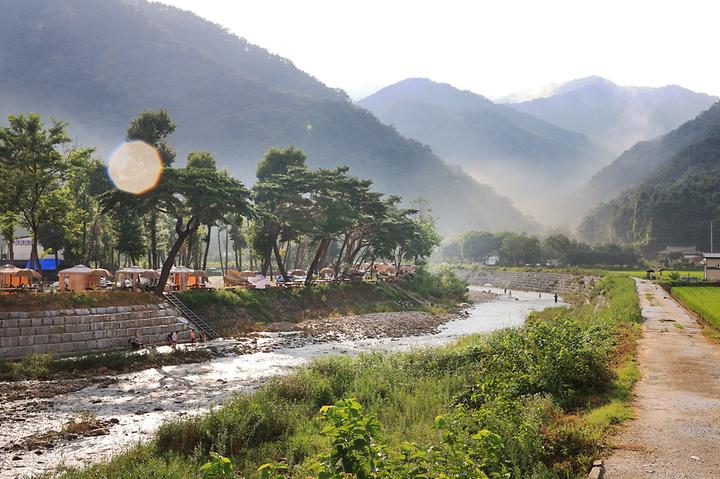 [강원도 원주시] 칠봉 송정 캠핑장 – 칠봉유원지 앞, 울창한 활엽수림속 운치있는 캠핑장