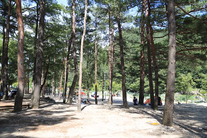 [강원도 양양군] 한별마을 야영장