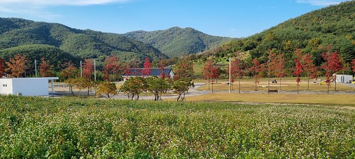 [경상북도 경주시] 감산