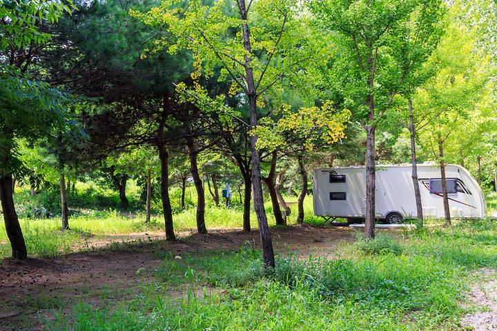 [충청남도 논산시] 치휴관광농원 야영장 – 부대시설과 체험 프로그램이 돋보이는 곳