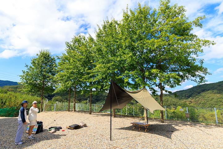 [경상북도 김천시] 월명612