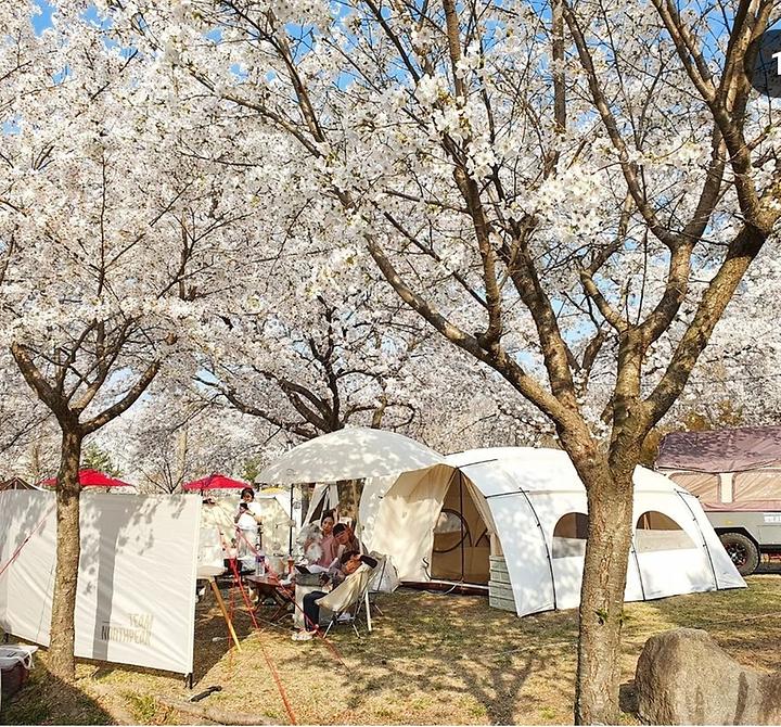 [경상북도 영천시] 드림랜드오토캠핑장 – 캠핑과 함께 다양한 즐길 거리 가득한 오토캠핑장 ,글램핑