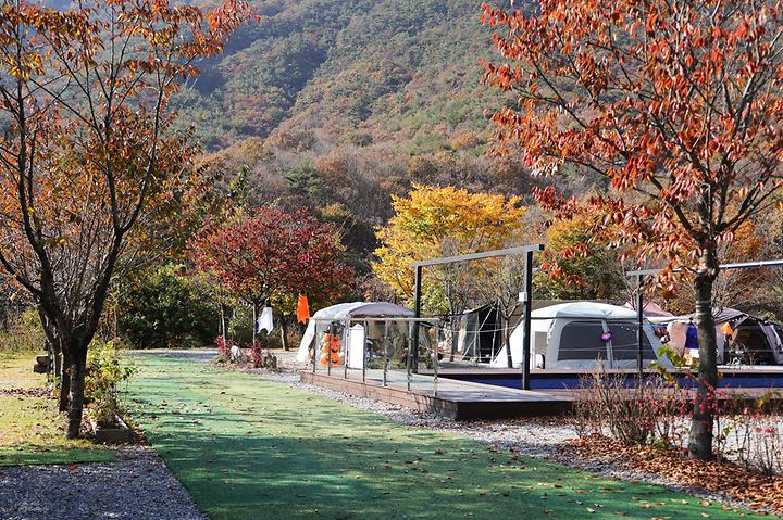 [경기도 포천시] 캠프원