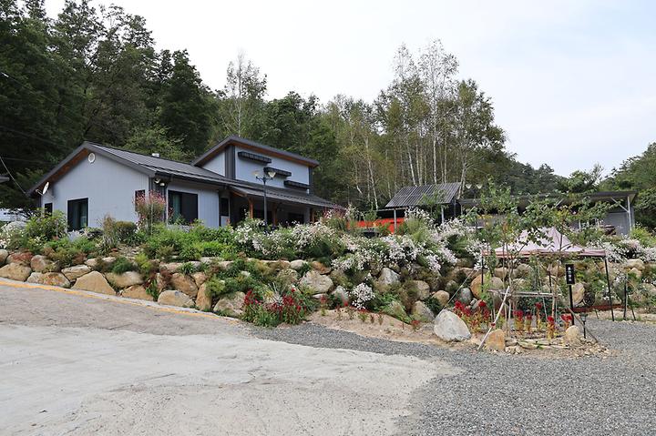 [강원도 양양군] 우니메이카 캠핑장