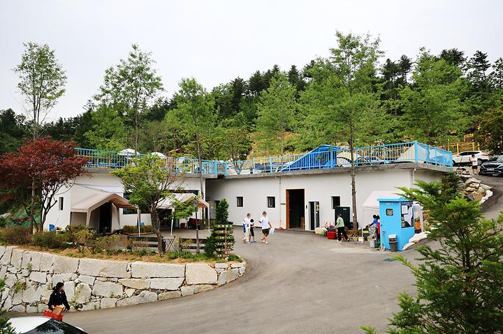 [강원도 춘천시] 스칼라캠프장 – 강촌에 있는 2만평규모 대형 캠핑장