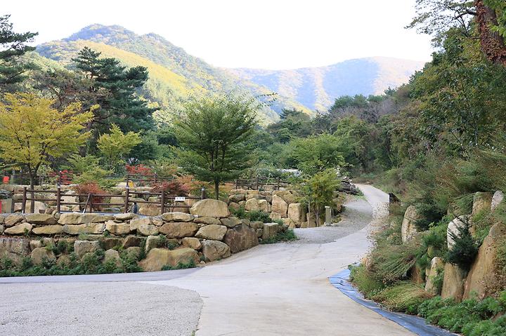 [강원도 양양군] 양양오색 휴랜드 야영장