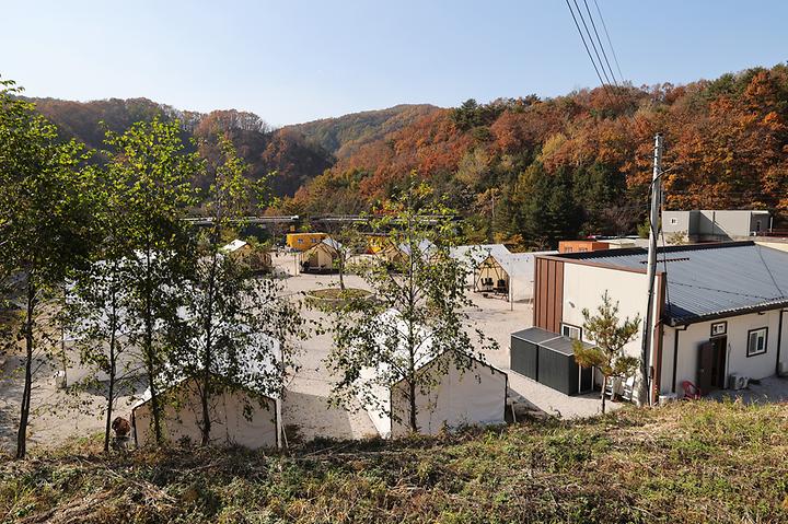 [경기도 포천시] 호랑이캠핑