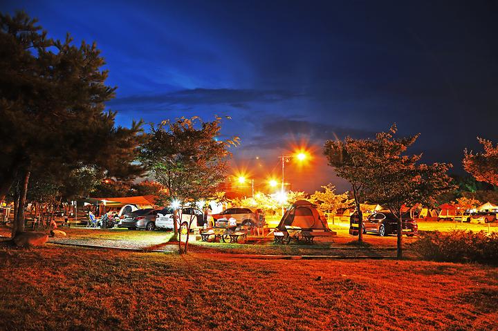 [강원도 고성군] 송지호 오토 캠핑장 – 송지호해수욕장에 위치한 공공 캠핑장