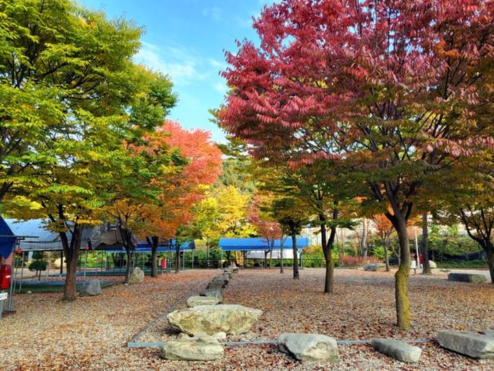 [강원도 철원군] 하오재캠핑장