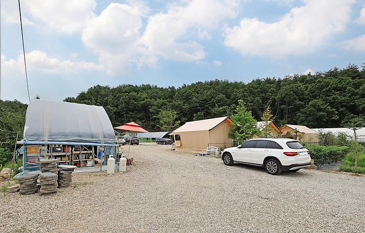 [강원도 고성군] 고성 탑 글램핑 농원